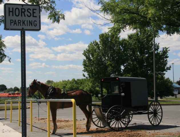 Horse Parking
