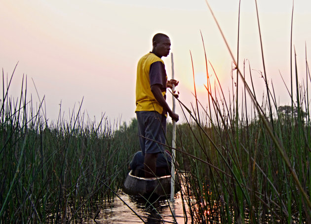 Met de Mokoro door de Okavango Delta bij zonsondergang