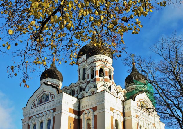 De Kathedraal van Alexander Nevski in het zonnetje