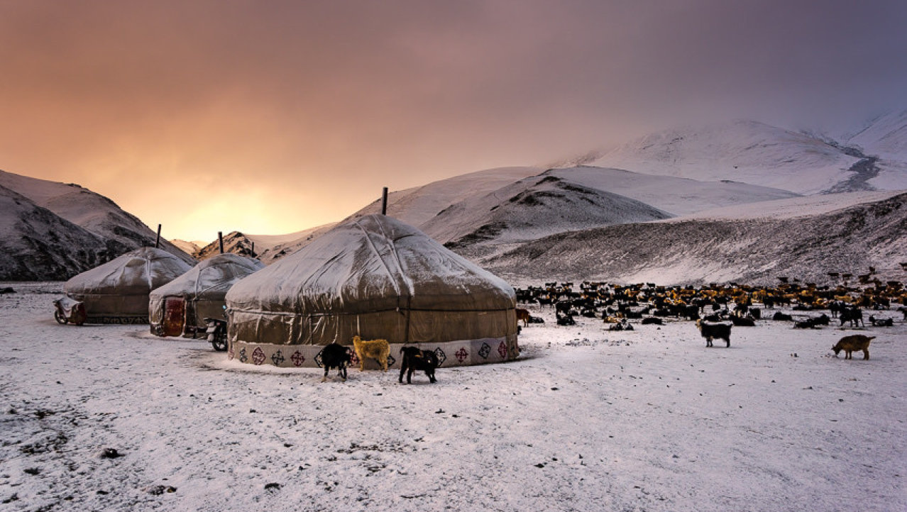 Winter is coming - op zoek naar nomaden in Tsast Uul gebergte