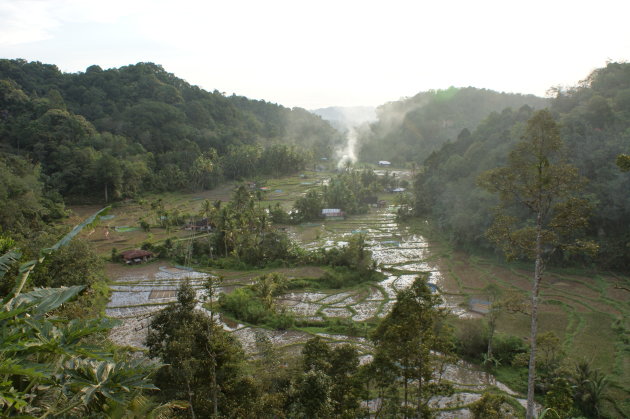 Rijstvelden op Sumatra