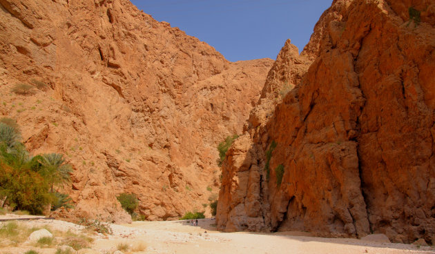 Wandelen in Wadi's