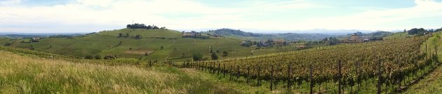 Eindeloze wijngaarden in Piemonte