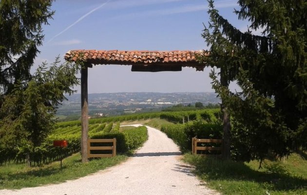 La Morra wijngaarden, Piemontese pareltjes