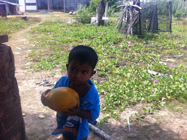 Jongetje krijgt kokosnoot