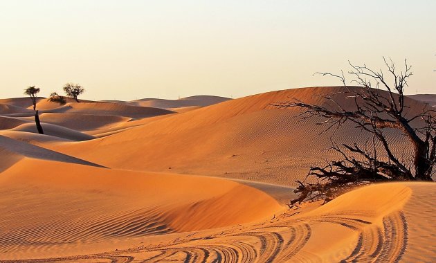Arabische woestijn 2
