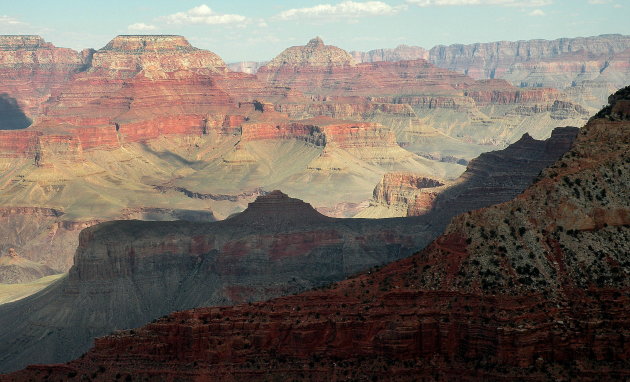Contrasten in de Grand Canyon !