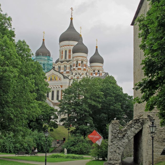 Koepels van de Alexander Nevskikathedraal