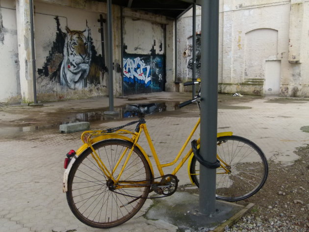 Suiker Unie; graffiti en oude fiets