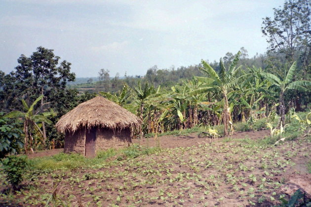 Het landelijke Rwanda
