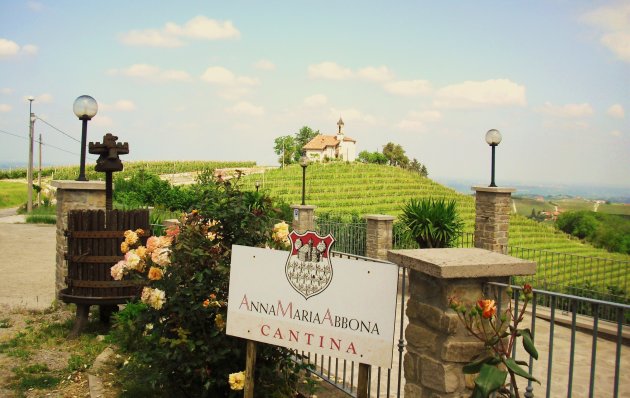 de wijnboerderij van Anna Maria Abbona bij Dogliani