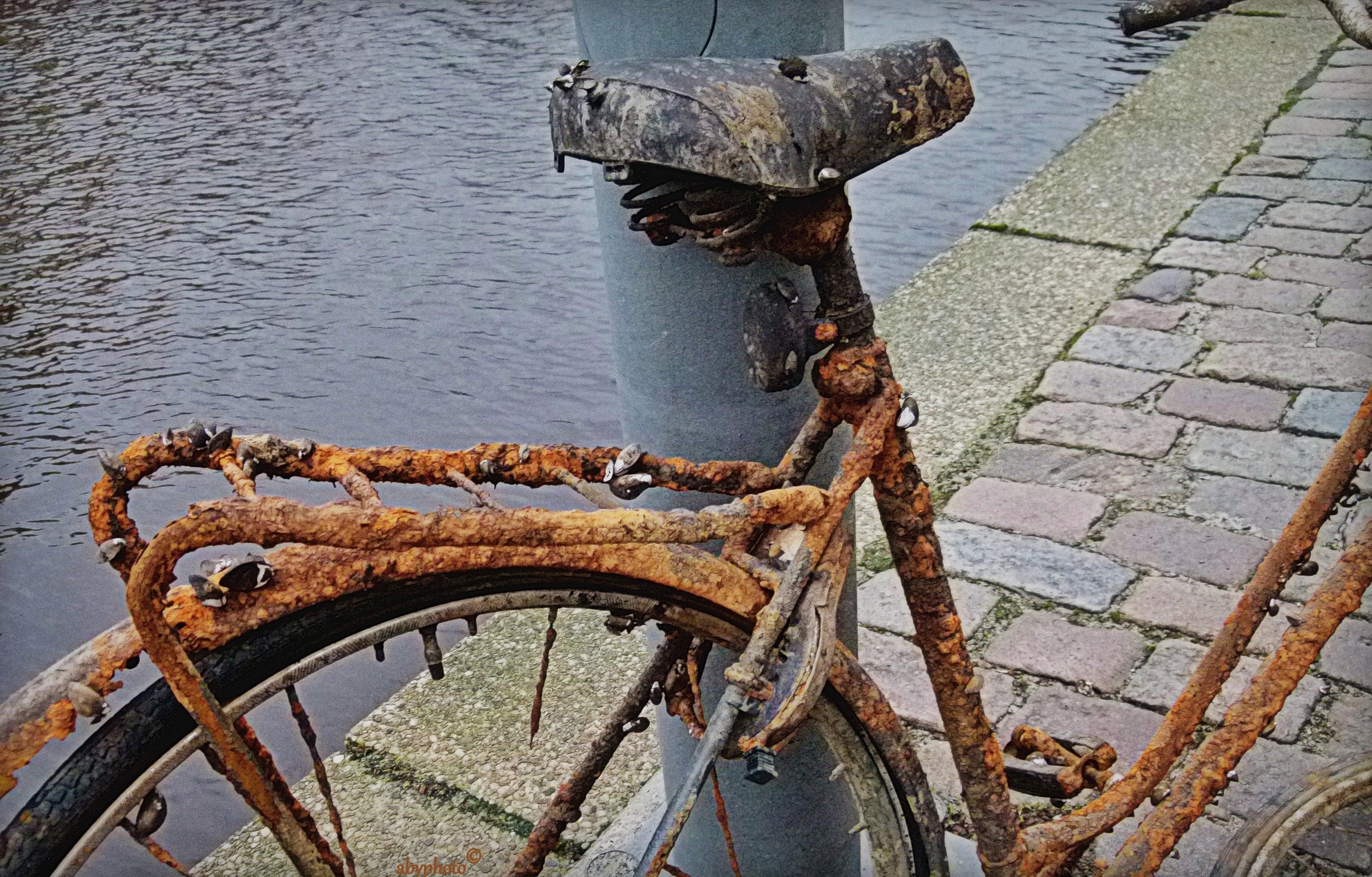 Weven zwak exotisch Uit de sloot gevist: roestige fiets in Groningen | Columbus Travel