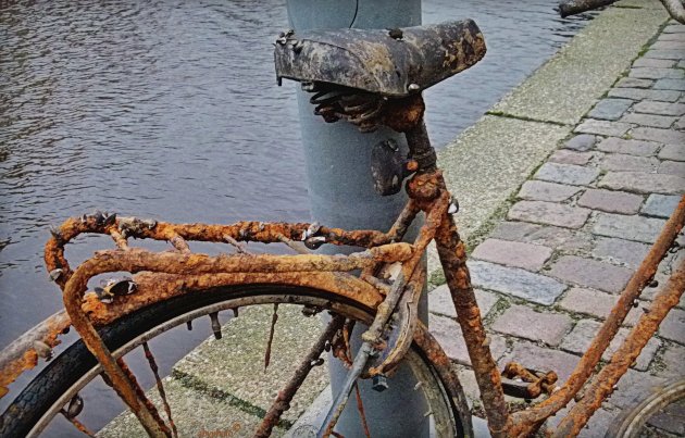Uit de sloot gevist: roestige fiets