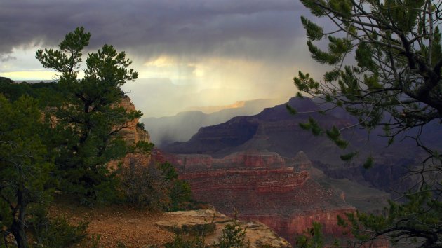 Groots uitzicht over de Grand Canyon