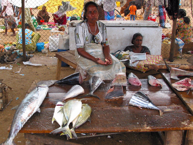 Vismarkt  Negombo ( scan )