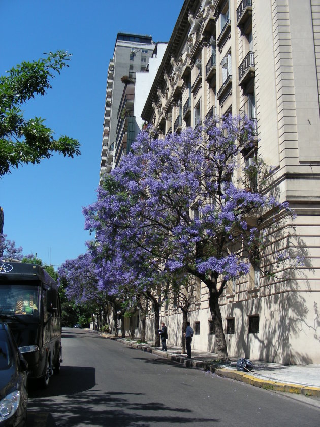 lente in Buenos Aires