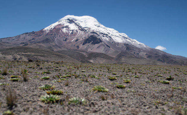 Wennen aan de hoogte op de Chimborazo vulkaan