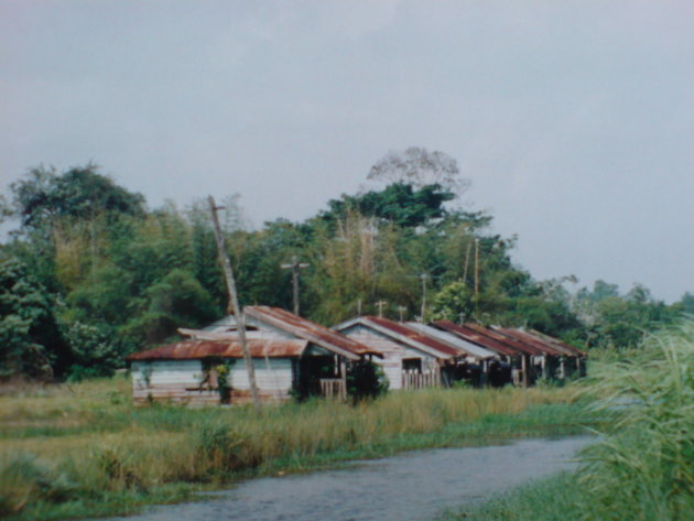 2001-2002 Plantage Wederzorg