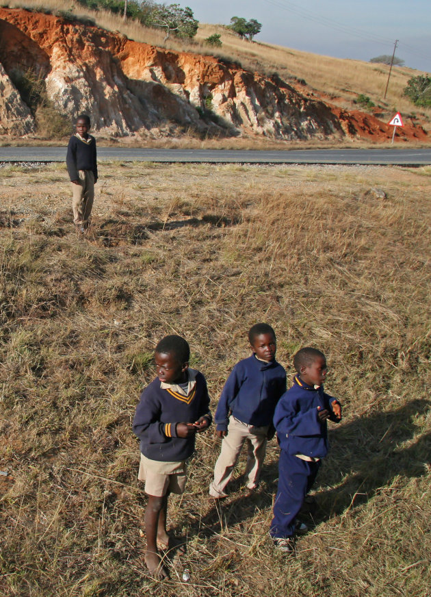 Nieuwsgierige jongetjes Swaziland