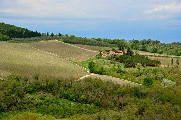 Lijnen en vlakken in het Toscaanse landschap