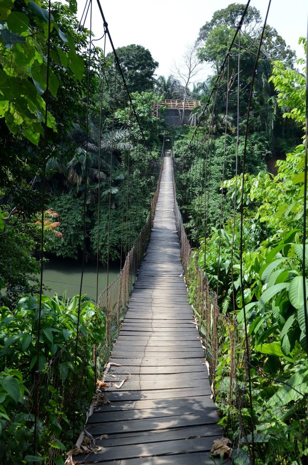 Tangkahan – het verborgen paradijs in Noord-Sumatra