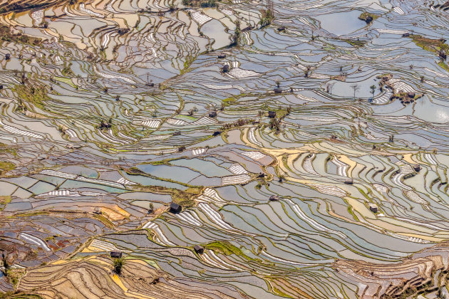 De rijstterrassen van Yunnan