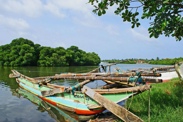 Vissersbootjes bij Negombo