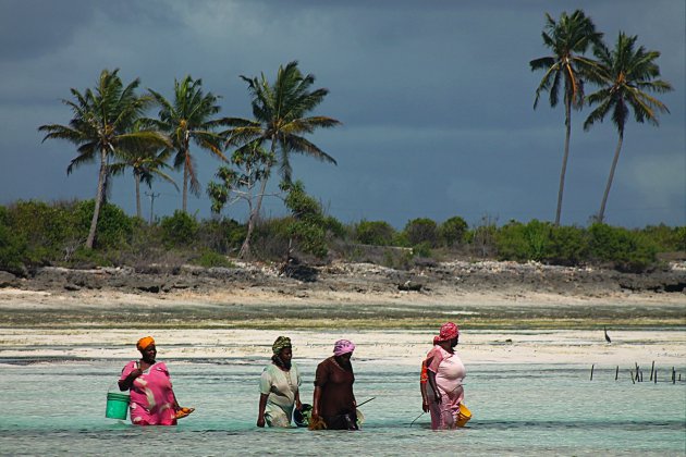 Een Nieuwe Werkdag in Zee op Zanzibar