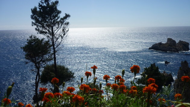 Paleokastritsa - Corfu - uitzicht over zee tussen de anjers