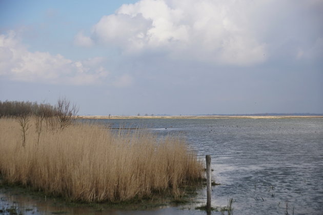 De Lauwersmeer