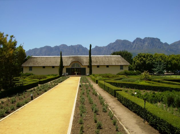 Wijn estate bij Stellenbosch