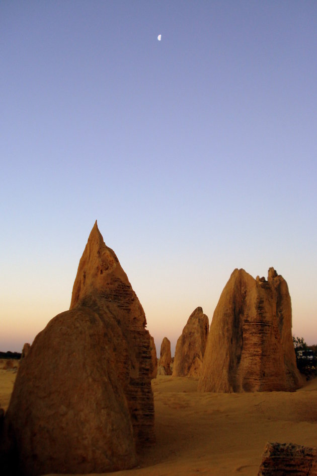 Duizenden pilaren in The Pinnacles, Australie