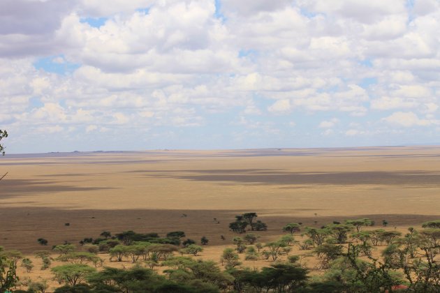 De uitgestrekte vlaktes van de Serengeti