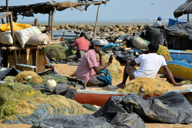 Vismarkt van Negombo