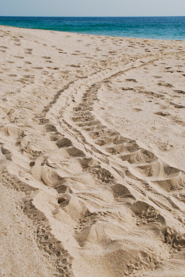 Sporen in het zand