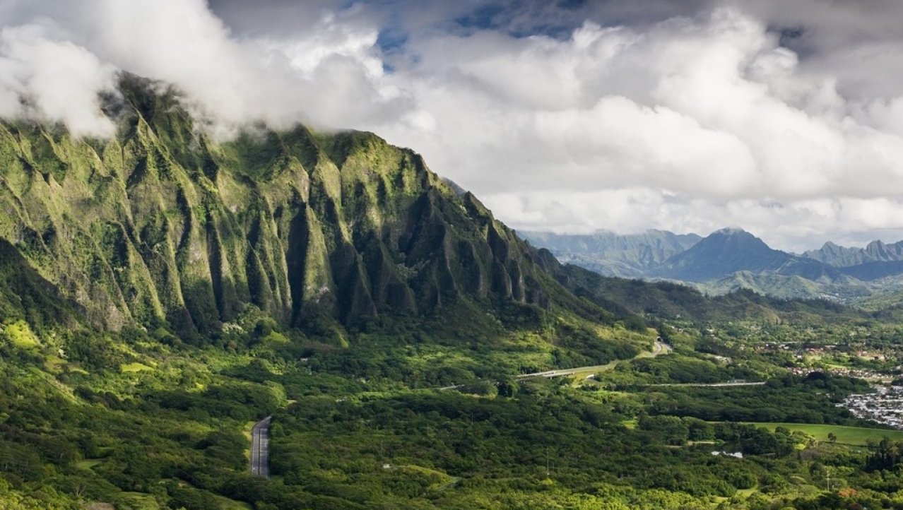 Groen Oahu - Hawaii