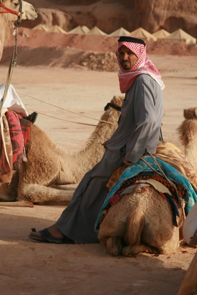 Man met kameel