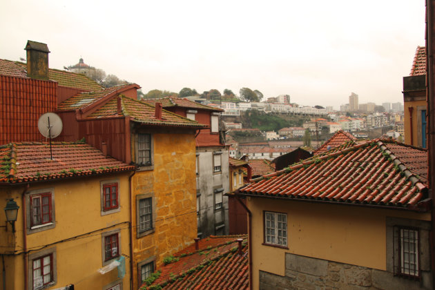heuvels van Porto