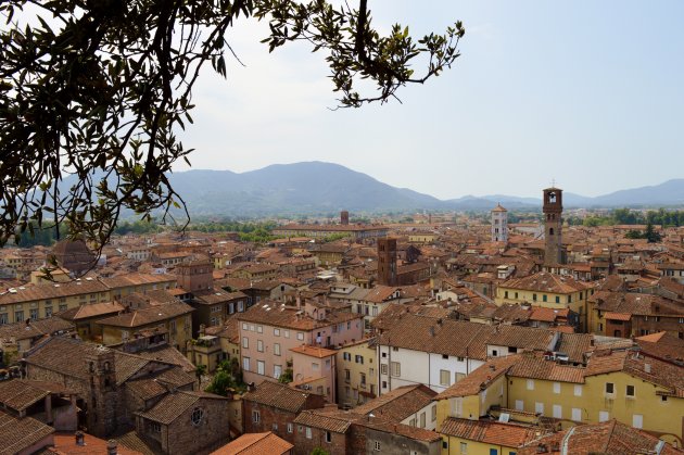 De daken van Lucca