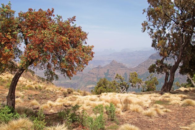 Simien NP 2