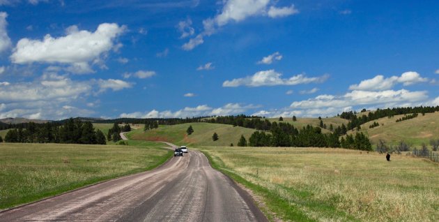 Rijd een rondje door Custer State Park