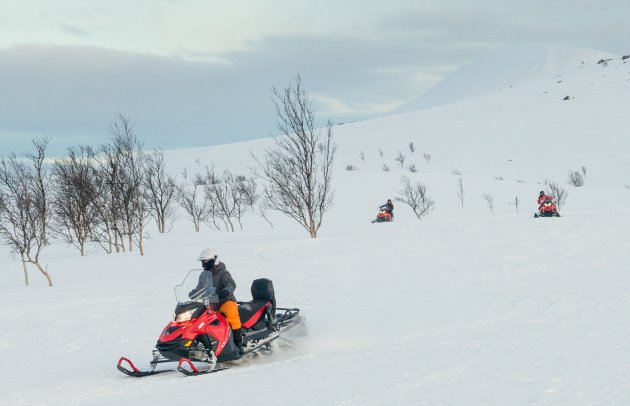 Sneeuwscooter rijden bij Green Gold of Norway