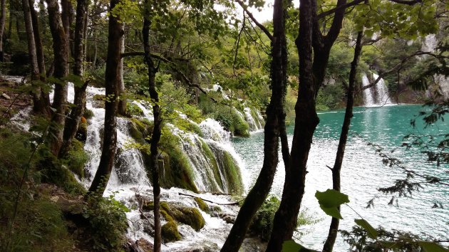 Plitvice meren: heerlijke rondwandeling