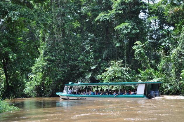 Park Nationaal Tortuguero te bereiken met de boot over een slingerende rivier.