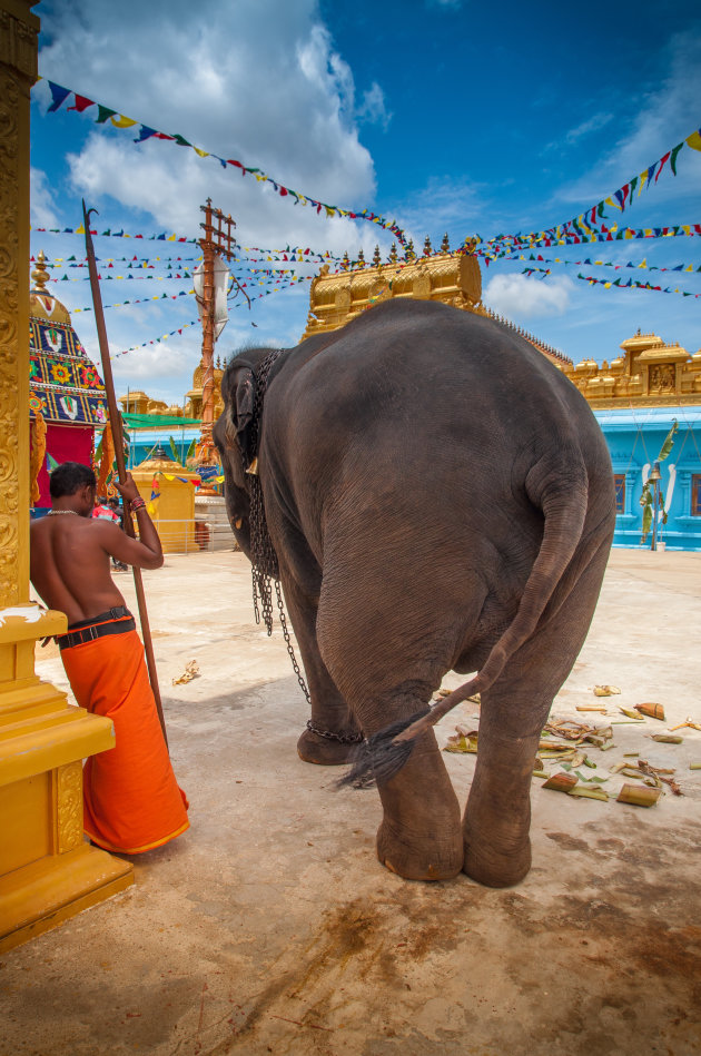 Bij de tempel Kijken naar de kont van de olifant