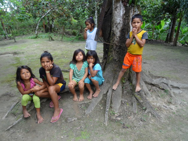 Jungle kinderen