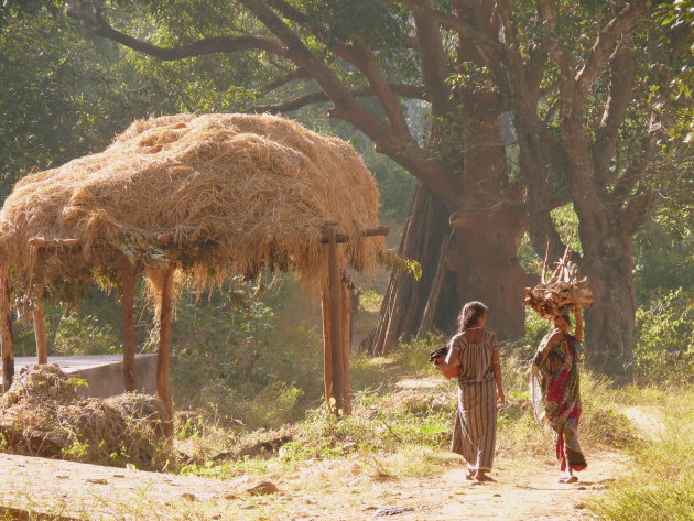 Ochtend in een Orissa dorp
