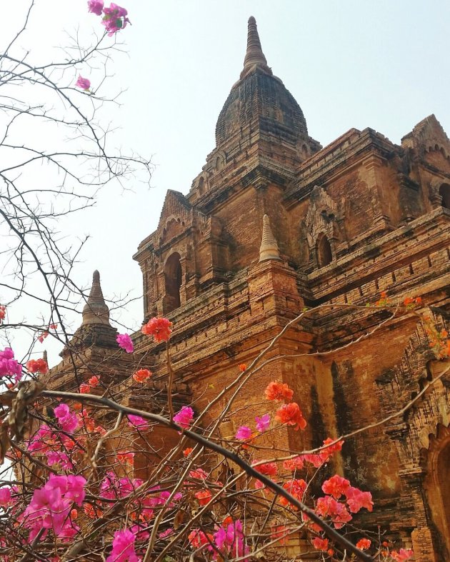Tempel in Bagan, Myanmar.