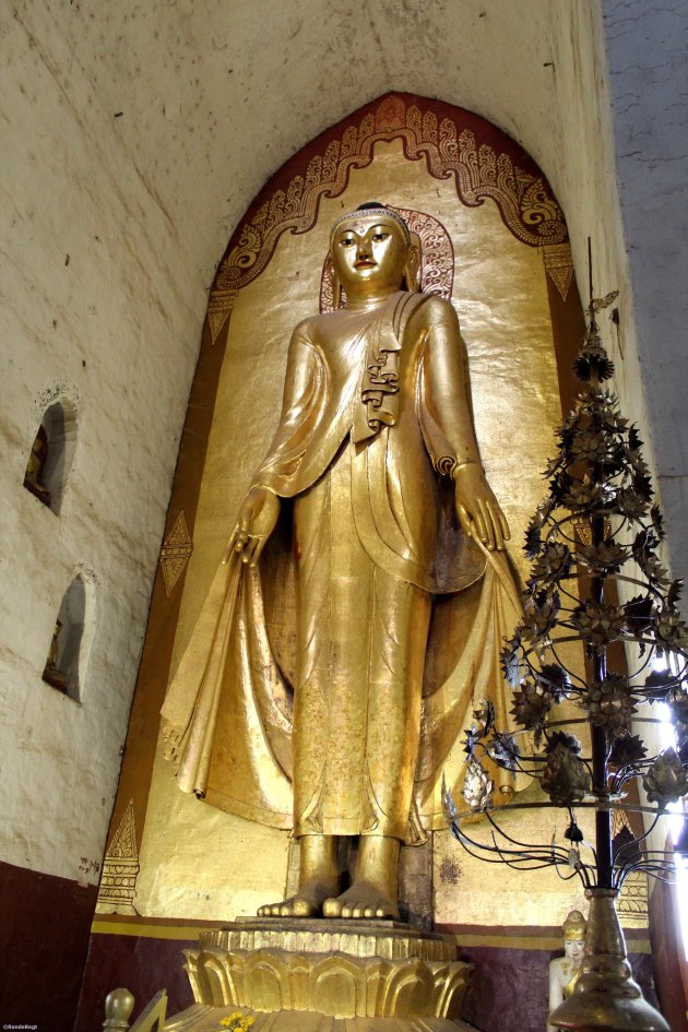 Boeddha in centrale kubus