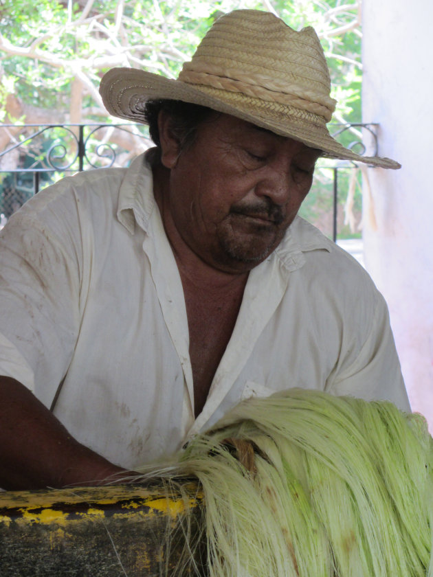 Man aan het werk op de hacienda